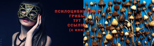 герыч Пересвет