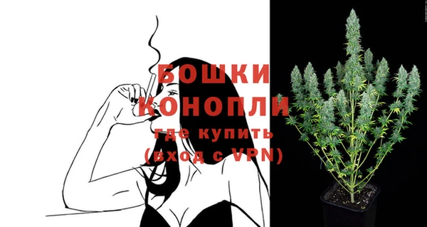 spice Пестово