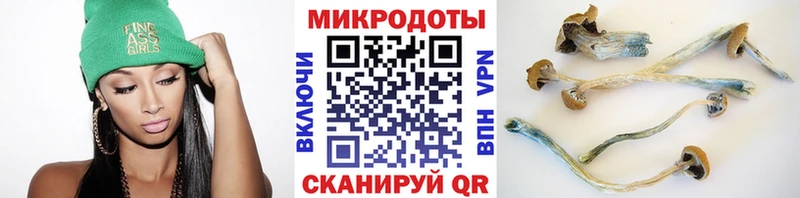 Псилоцибиновые грибы Psilocybe Берёзовский